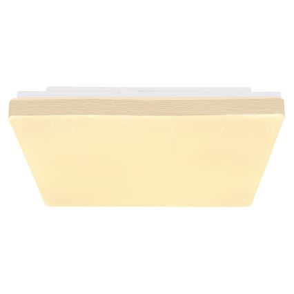 Globo - LED Stropna svjetiljka LED/12W/230V