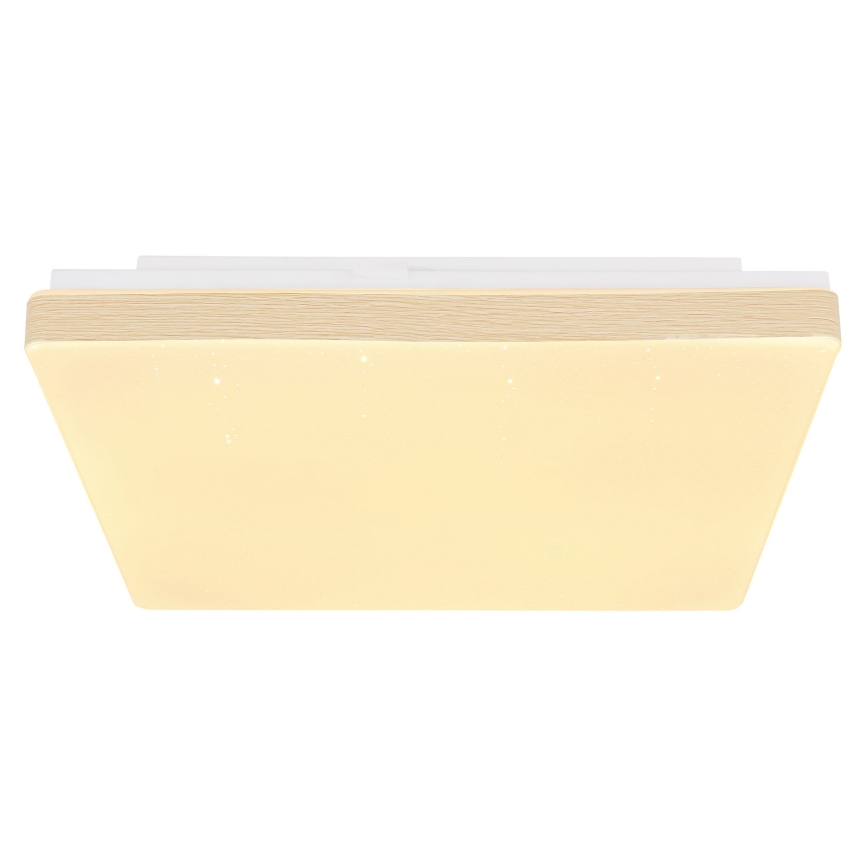 Globo - LED Stropna svjetiljka LED/12W/230V