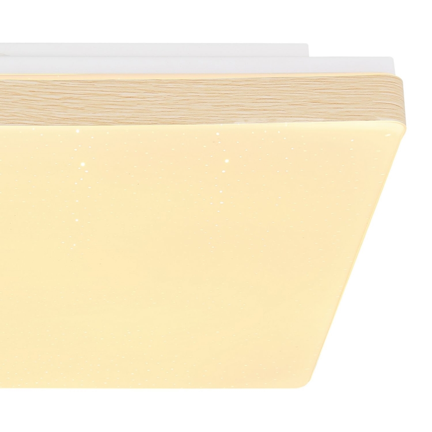 Globo - LED Stropna svjetiljka LED/12W/230V