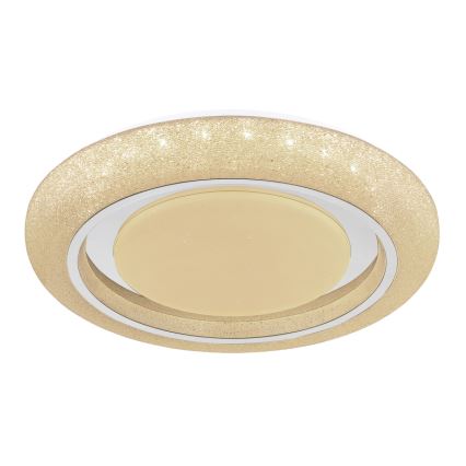 Globo 483111-40 - LED Stropna svjetiljka RADA LED/40W/230V 2700/4200/6500K pr. 49 cm