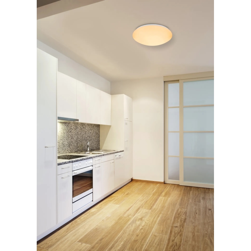 Globo - LED RGBW stropna svjetiljka s mogućnošću prigušivanja LED/24W/230V + LED/8W 2700-6500K Ø 41 cm + daljinski upravljač