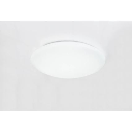 Globo - LED RGB stropno svjetlo s prigušivanjem LED/48W/230V + LED/10W 2700-6500K Ø 50 cm + daljinski upravljač
