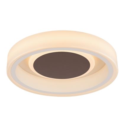 Globo 48398-24 - LED Stropna svjetiljka GOFFI LED/30W/230V