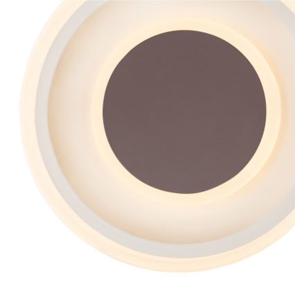 Globo 48398-24 - LED Stropna svjetiljka GOFFI LED/30W/230V