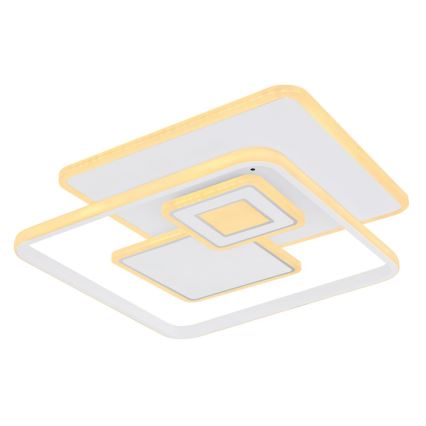 Globo - LED Prigušiva stropna svjetiljka LED/50W/230V 3000-6000K + daljinski upravljač