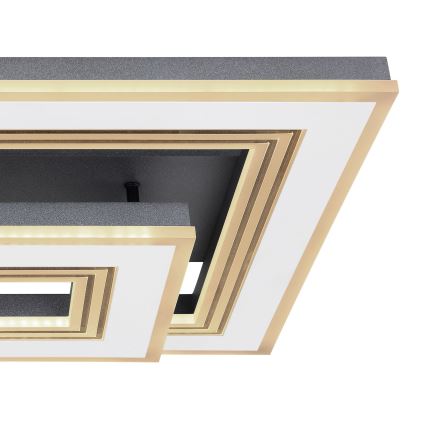 Globo - LED Prigušiva stropna svjetiljka LED/50W/230V 2700-6000K + daljinski upravljač