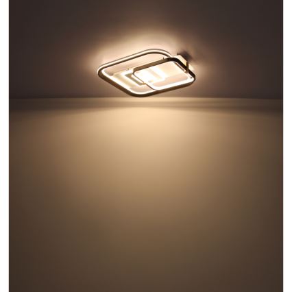 Globo 48459-48 - LED stropno svjetlo s mogućnošću prigušivanja ANI LED/48W/230V 2700-6000K 48x52 cm + daljinski upravljač