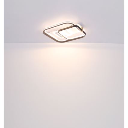 Globo 48459-48 - LED stropno svjetlo s mogućnošću prigušivanja ANI LED/48W/230V 2700-6000K 48x52 cm + daljinski upravljač