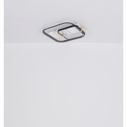 Globo 48459-48 - LED stropno svjetlo s mogućnošću prigušivanja ANI LED/48W/230V 2700-6000K 48x52 cm + daljinski upravljač