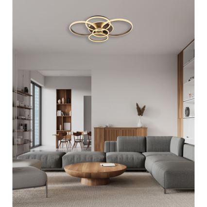 Globo - LED Stropna svjetiljka LED/70W/230V 3000K 88x110 cm antracit