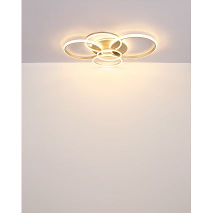 Globo - LED Stropna svjetiljka LED/70W/230V 3000K 88x110 cm bež