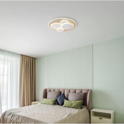 Globo - LED stropna svjetiljka LED/40W/230V 3000K Ø 49 cm