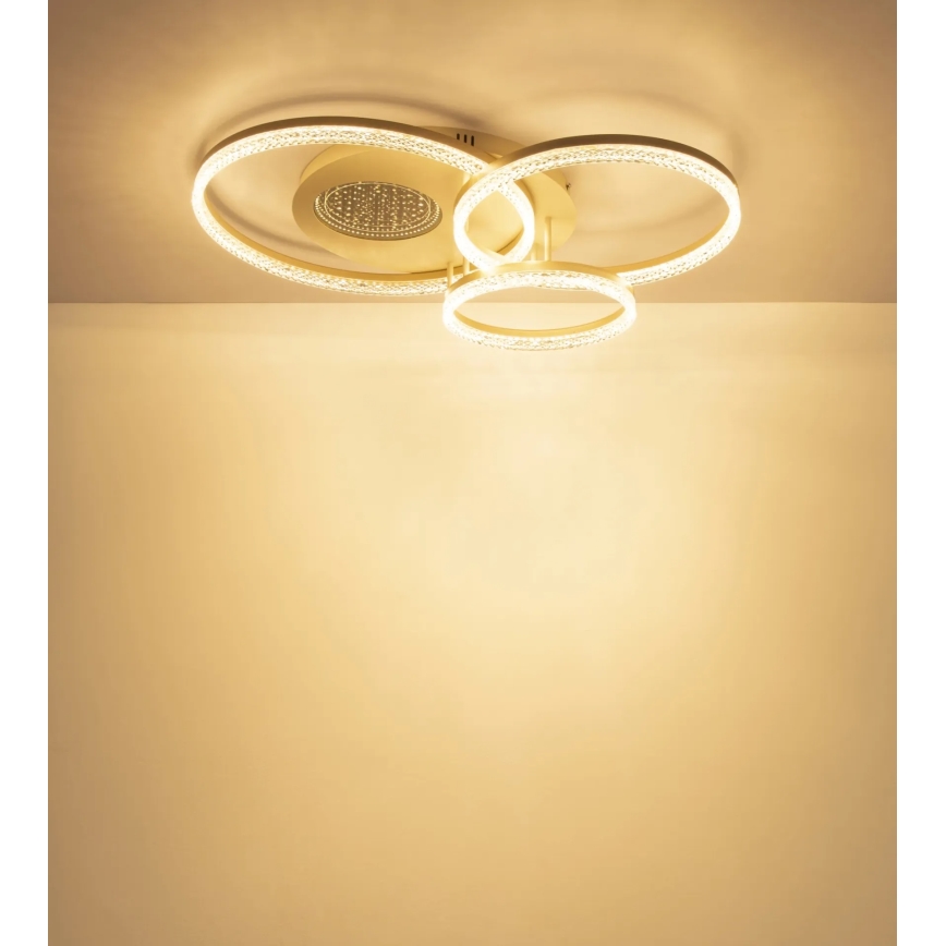 Globo - LED stropna svjetiljka LED/40W/230V 3000K 78x60 cm bež