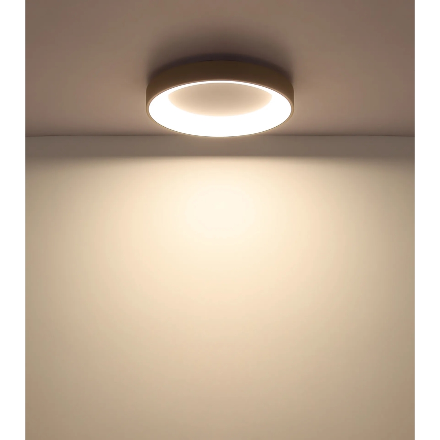 Globo - LED stropna svjetiljka s prigušivanjem LED/48W/230V 2700-6000K promjer 50 cm + daljinski upravljač