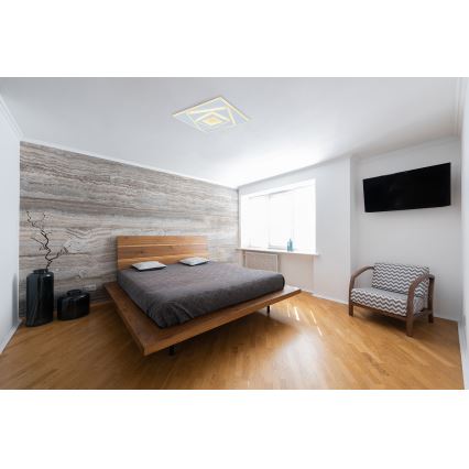 Globo - LED Stropna svjetiljka LED/24W/230V 3000K