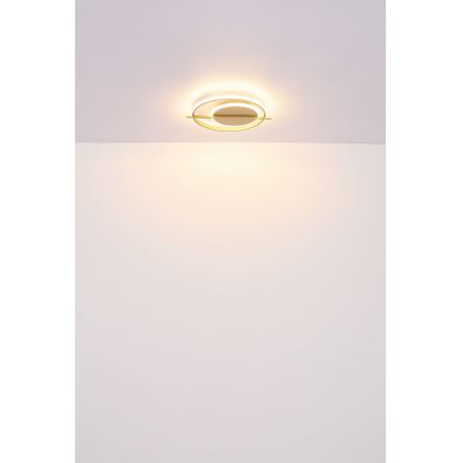 Globo - LED Stropna svjetiljka LED/36W/230V