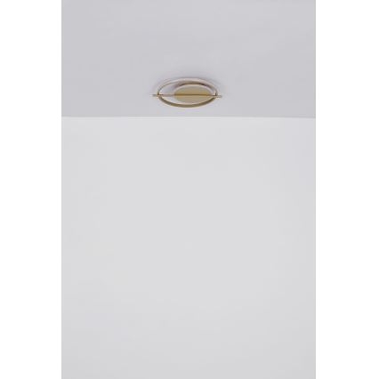 Globo - LED Stropna svjetiljka LED/36W/230V