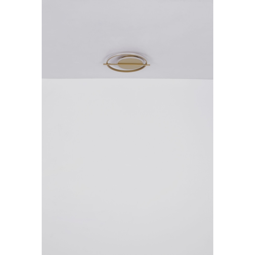 Globo - LED Stropna svjetiljka LED/36W/230V