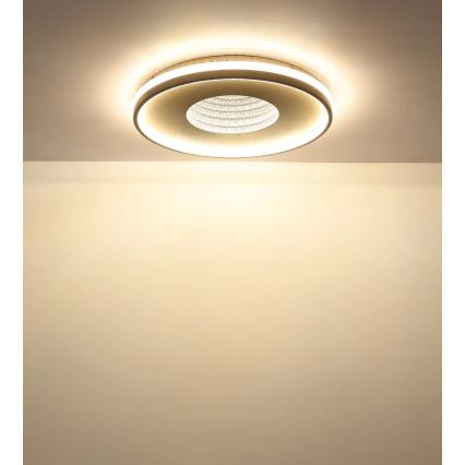 Globo - prigušivo LED stropno svjetlo LED/40W/230V 2700-6500K pr. 50,5 cm + daljinski upravljač