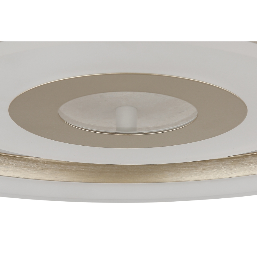 Globo - LED stropna svjetiljka LED/24W/230V 3000K Ø 40 cm