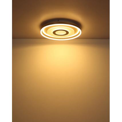 Globo - LED stropno svjetlo LED/40W/230V 3000K Ø 50 cm