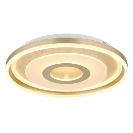 Globo - LED stropno svjetlo LED/40W/230V 3000K Ø 50 cm