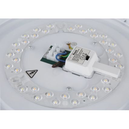 Globo - LED stropna svjetiljka LED/24W/230V 3000/4000/6000K Ø 38 cm matni krom