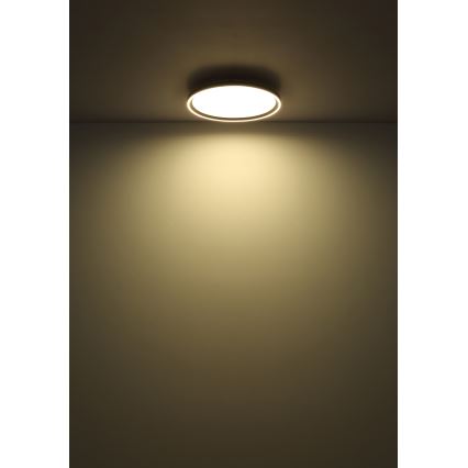 Globo - LED Prigušiva stropna svjetiljka LED/48W/230V pr. 50 cm 2700-6000K + daljinski upravljač