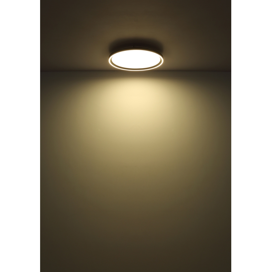 Globo - LED Prigušiva stropna svjetiljka LED/48W/230V pr. 50 cm 2700-6000K + daljinski upravljač