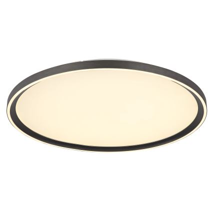 Globo - LED Prigušiva stropna svjetiljka LED/48W/230V pr. 50 cm 2700-6000K + daljinski upravljač