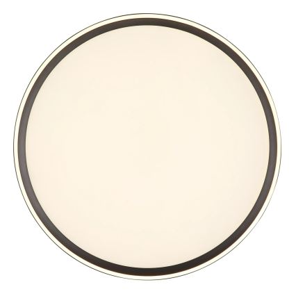 Globo - LED stropna svjetiljka s prigušivanjem LED/48W/230V promjer 50 cm 2700-6000K + daljinski upravljač