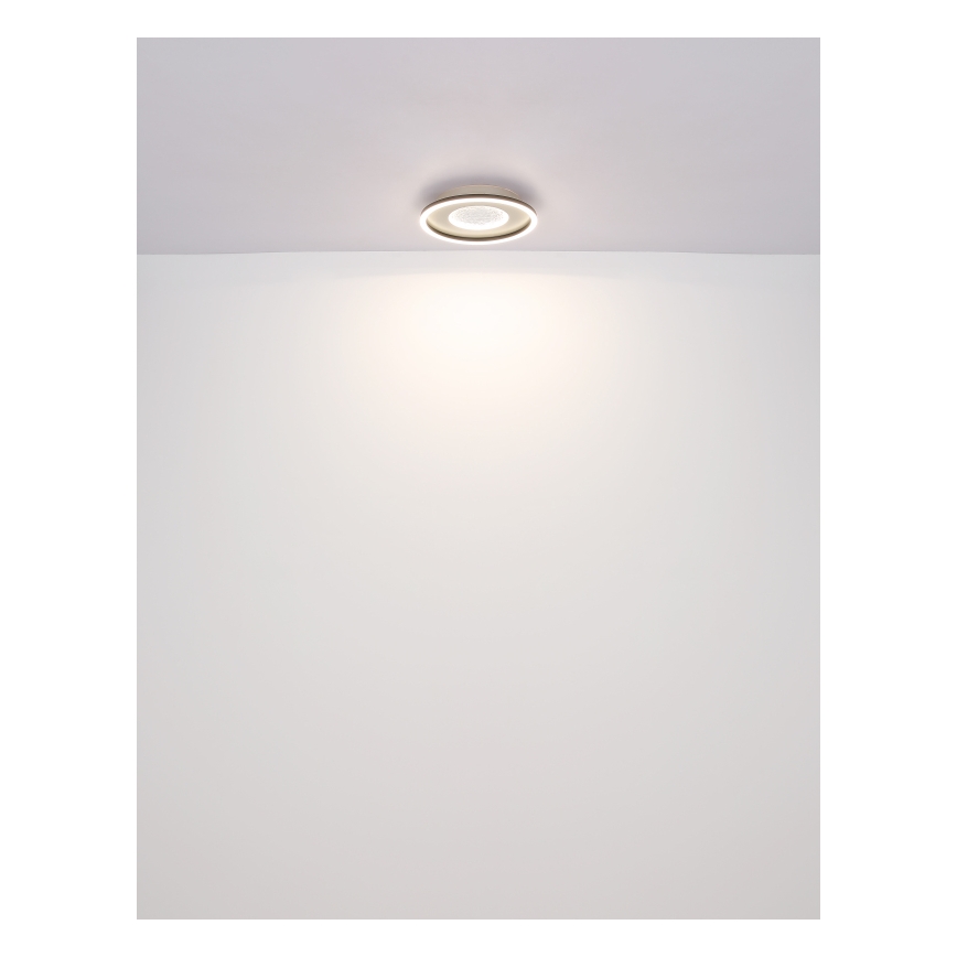 Globo - LED Stropna svjetiljka LED/24W/230V 2700/4500/6500K pr. 33 cm