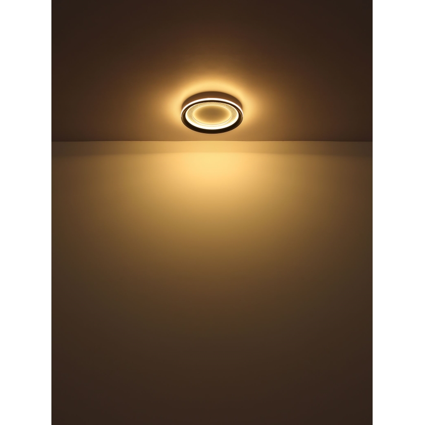 Globo - LED Stropna svjetiljka LED/18W/230V pr. 30,2 cm