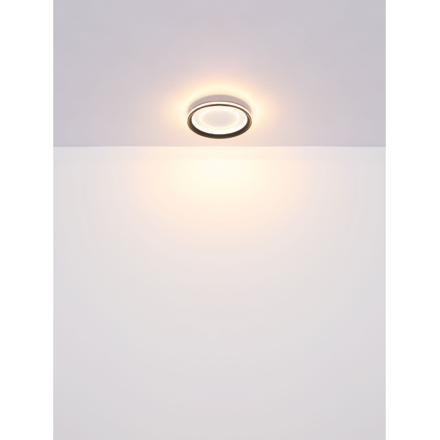Globo - LED Stropna svjetiljka LED/18W/230V pr. 30,2 cm