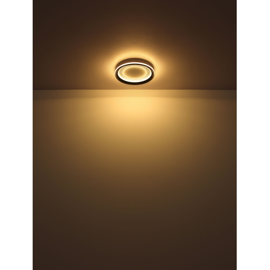 Globo - LED Prigušiva stropna svjetiljka LED/24W/230V 2700-6000K + daljinski upravljač