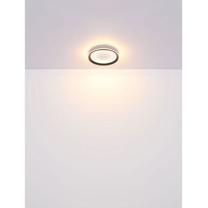 Globo - LED Prigušiva stropna svjetiljka LED/24W/230V 2700-6000K + daljinski upravljač