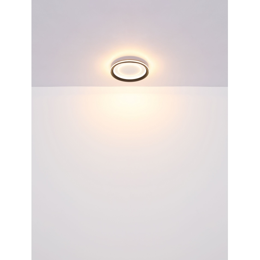 Globo - LED Prigušiva stropna svjetiljka LED/24W/230V 2700-6000K + daljinski upravljač