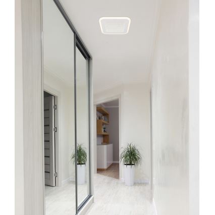 Globo - LED Stropna svjetiljka LED/12W/230V 4000K
