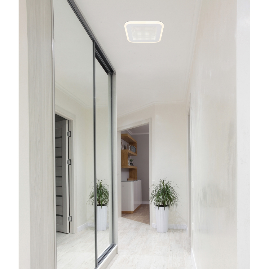 Globo - LED Stropna svjetiljka LED/12W/230V 4000K