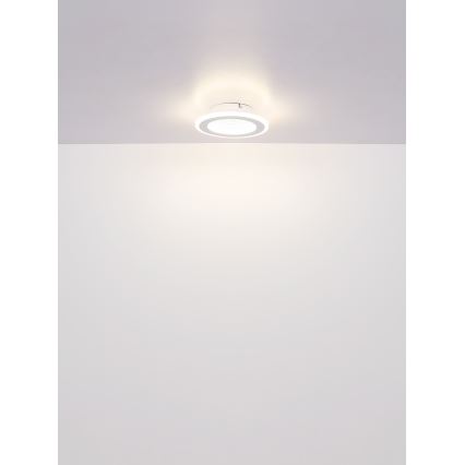 Globo - LED Stropna svjetiljka LED/12W/230V 4000K