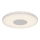 Globo 49336-24R - LED Stropna svjetiljka DENNI 1xLED/24W/230V
