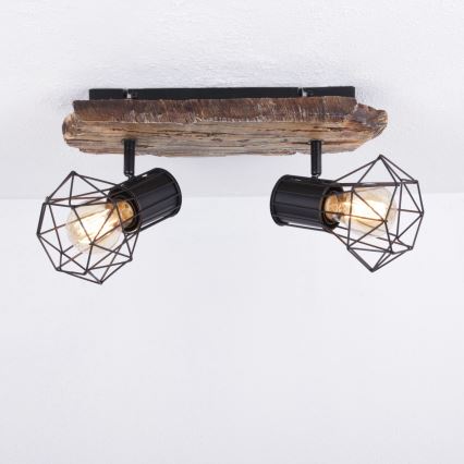 Globo - Reflektorska svjetiljka 2xE27/60W/230V