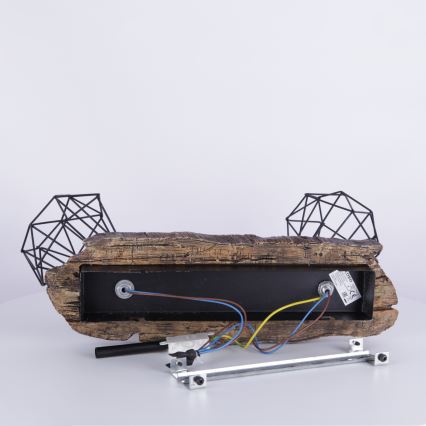 Globo - Reflektorska svjetiljka 2xE27/60W/230V