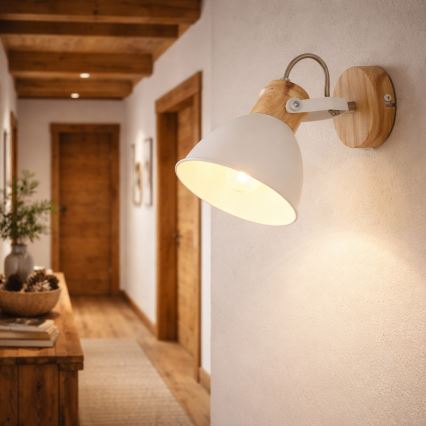 Globo - Zidna reflektorska svjetiljka 1xE27/40W/230V