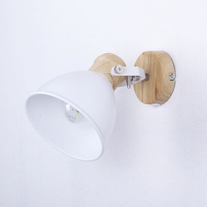 Globo - Zidna reflektorska svjetiljka 1xE27/40W/230V