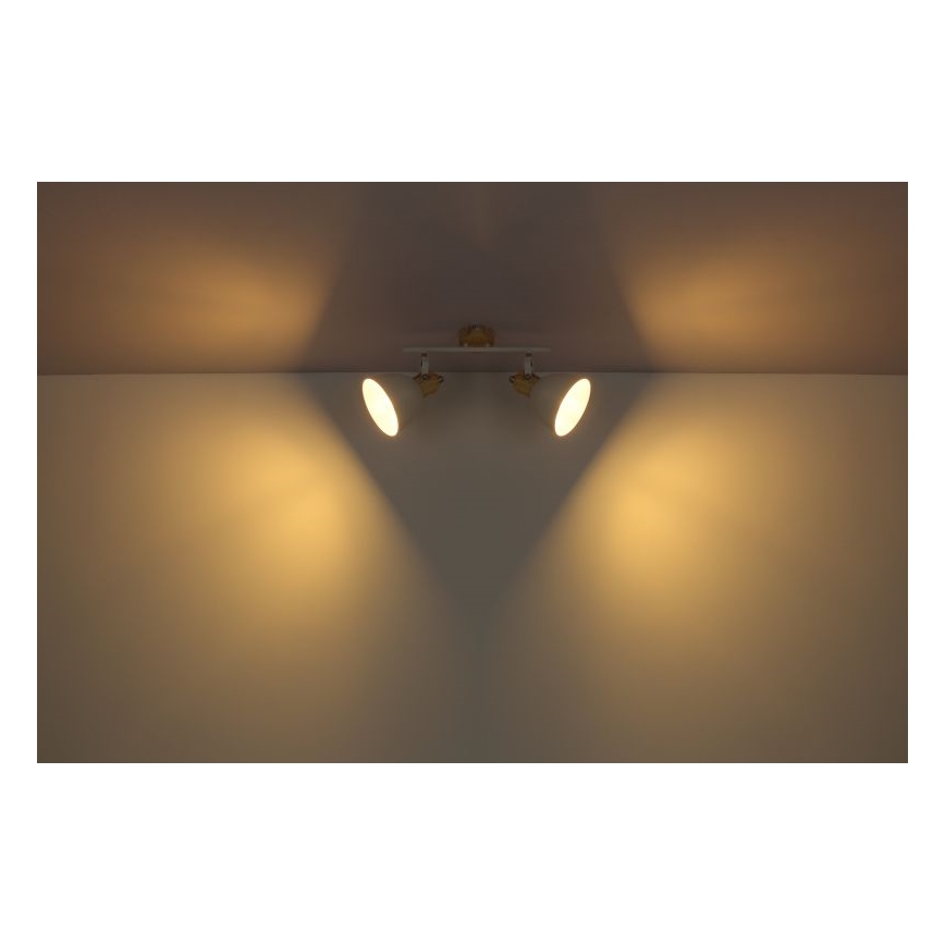 Globo - Reflektorska svjetiljka 2xE27/40W/230V