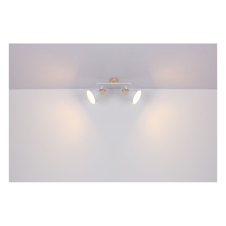 Globo - Reflektorska svjetiljka 2xE27/40W/230V