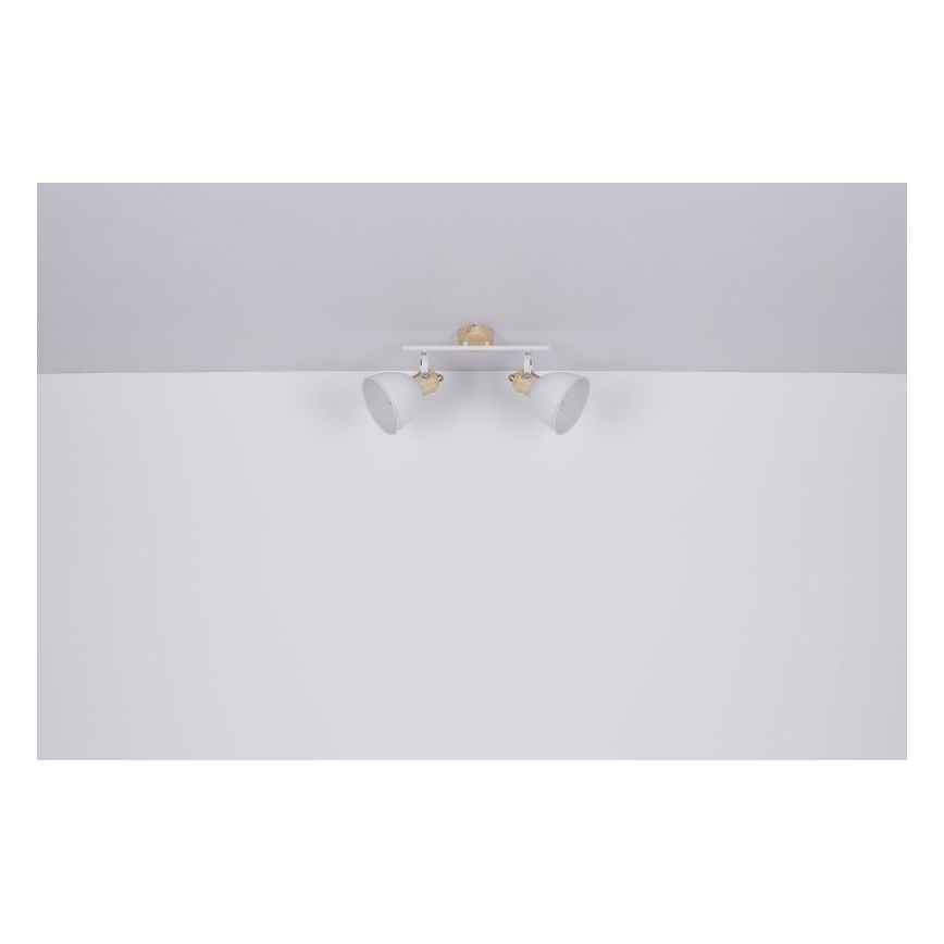 Globo - Reflektorska svjetiljka 2xE27/40W/230V