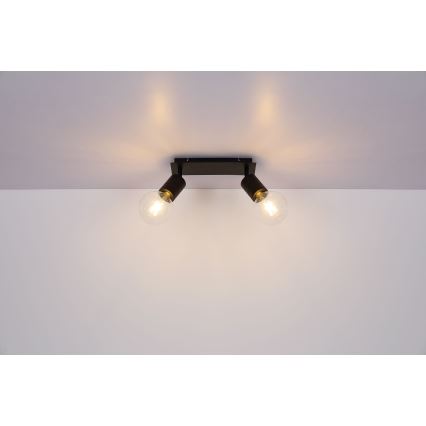 Globo - Reflektorska svjetiljka 2xE27/60W/230V