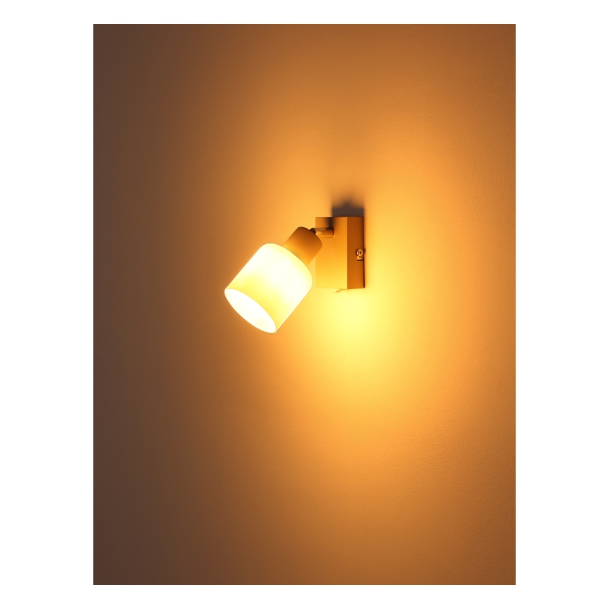 Globo - Zidna reflektorska svjetiljka 1xE14/25W/230V